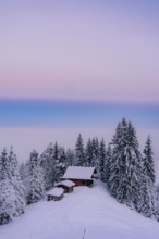 Sunrise snow tour on the Tegelberg in the Allgäu in Bavaria. Winter Wonder Land, Germany
