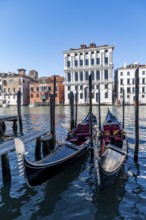Gondolas at the jetty on the Grand Canal, Venice, Veneto, Italy
