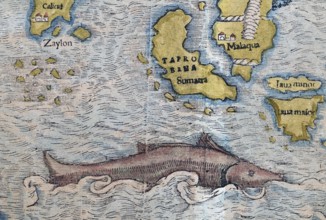 South India, Sumatra, Malaysia, sea monster, detail, hand-coloured woodcut map from Sebastian