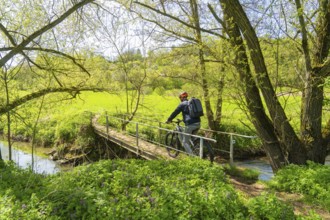 A cyclist enjoys the spring landscape while crossing a bridge in the countryside, Gechingen,