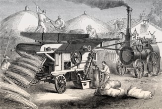 A steam-driven threshing machine, 19th century