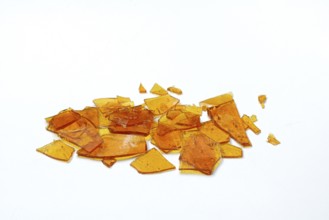 Shellac, shellac platelets, resin of the lacquer scale insect, Kerria lacca