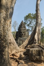 Tor tor with huge faces to Angkor Thom, Angkor Wat, Angkor, UNESCO World Heritage Site, Siem Reap,