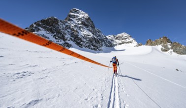 Ski tourer with rope, rope team on the Vadret da Porchabella glacier on the ascent to the summit of