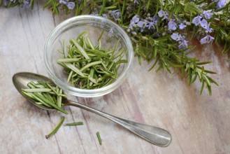 Rosemary, plucked rosemary leaves in a glass bowl and flowering sprig