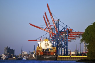 Container ship MSC Cornelia at the Burchardkai container terminal with the Elbphilharmonie concert