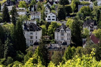 View of vineyards and villas from the Neroberg, Wiesbaden, Hesse, Germany