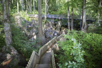 Nature reserve Felsenmeer, means Ocean of rocks, Sauerlandpark, Hemer, Sauerland region, North