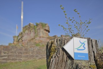 Hiking trail Bliessteig, symbol, sign, signpost, signpost, hiking, hiking, tree stump, rock, depth