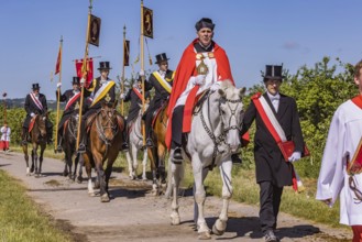 Blutritt Weingarten in Oberschwaben. Dekan Ekkehard Schmid trägt als Heilig-Blut-Reiter die