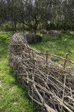 Benjes hedge, garden, Anne Hathaway's Cottage, Shottery, Stratford-upon-Avon, Warwickshire,