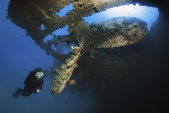 Diver looking at ship's propeller, propeller backlit by the sun, fouling with spiny oyster