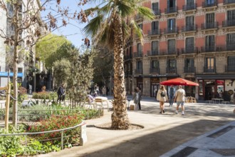 Superblock or Superilla in the Eixample neighbourhood, a highly restricted area of the city in