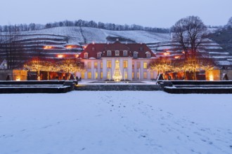 Wackerbarth's winter magic, castle and vineyards with Christmas lights and snow, Radebeul, Saxony,