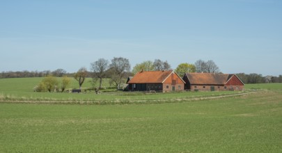 Farm at green field and blue sky in springtime in Ystad Municipality, Skåne County, Sweden,