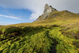 Alkhornet mountain, Trygghamna bay, Isfjorden fjord, Spitsbergen, Svalbard Islands, Svalbard and
