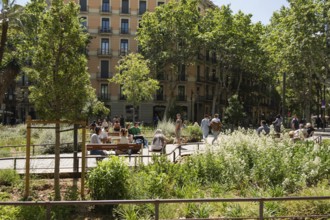 The Eixample superblock, car-free and pedestrianised area in the centre of Barcelona, Spain