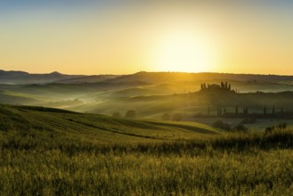 Sunrise, landscape with farmhouse and cypress trees, near San Quirico d'Orcia, Val d'Orcia,