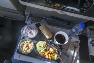 Catering on board an Etihad airline aircraft, interior, cabin. Boeing 787 aircraft, flight from Abu