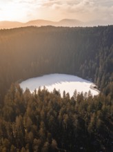 A fenced lake in golden sunlight, nestled in a dense forest, Glaswaldsee, Bad Rippoldsau-Schapbach,