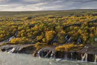Hraunfossar, waterfalls of the Hvítá river in autumn, near Húsafell and Reykholt, Iceland