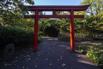 Japanese Torii Gate, Japanese Garden, Zoological City Garden, Karlsruhe, Baden-Württemberg, Germany