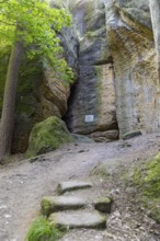 Rocky landscape at the Diebskeller or Götzinger Cave at the Kleiner Bärenstein, Thürmsdorf,