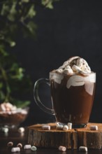 Hot chocolate with whipped cream and cocoa powder on a wooden board with marshmallows in a cosy