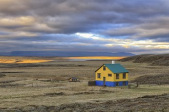 Colourful isolated house, lichen-covered lava desert, South West, Iceland