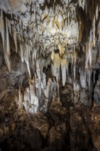 Stalactite cave, Terciopelo Cave, Barra Honda National Park, Costa Rica