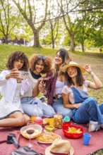 Four cheerful young women enjoying a sunny picnic in the park, happily taking a selfie with their