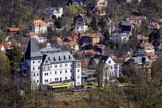 Historic castle and surrounding buildings in a village on the edge of the forest, The villa