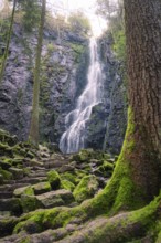 A waterfall in the forest, visible through trees, with mossy rocks, Burgbach waterfall, Bad