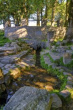 Fulda spring on the Wasserkuppe, Ehrenberg, Rhön, Hesse, Germany