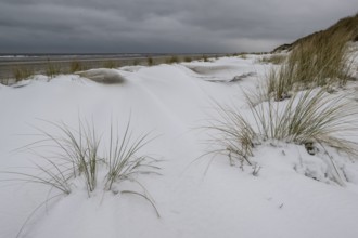 Snow-covered dunes on the North Sea, Langeoog, Lower Saxony, Germany