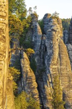 Rock needles protrude from the Wehlgrund, on top of the Ferdinandstein viewpoint at the Bastei