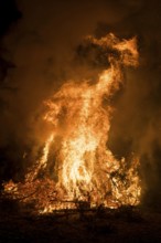 Environmental pollution, fire from discarded Christmas trees, Ostfildern-Plieningen,