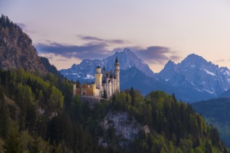 Neuschwanstein Castle romantic in front of an alpine evening mood, Schwangau near Füssen, Ostallgäu
