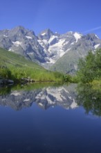 Pointe Piaget and La Meije reflected in the pond of the botanical garden Jardin du Lautaret,