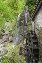 Mill wheel and waterfall at the old mill, Tramonti di Sopra, Province of Pordenone, Italy