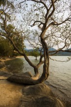 Klong Son Beach, Ko Chang, Koh Chang, Mu Ko Chang National Park, Trat, Thailand