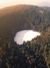 Bird's eye view of a lake surrounded by trees in a tranquil natural setting, Glaswaldsee, Bad