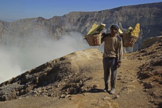 Asia, Indonesia, Java, Volcanoes in Bromo-Semeru National Park, Workers transporting sulphur, Java,
