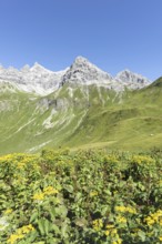 View from the Kemptner Hütte, 1844m, to the Muttlerkopf, 2368m, Allgäu Alps, Allgäu, Bavaria,