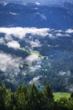 Mist in the valley, Allgäu Alps in the background, Sibratsgfäll, Austria