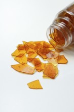 Shellac, shellac platelets, resin of the lacquer scale insect, Kerria lacca