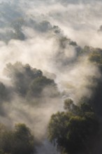 Morning mist on the river Saale in the Saale valley not far from the Dornburg castles,