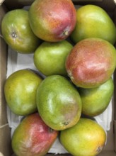 Natural organic fruit mango in loose pieces Display of retail wholesale greengrocer supermarket