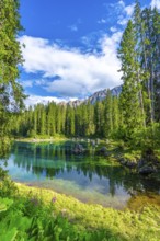 Emerald waters of lake carezza reflecting latemar mountain range and lush green forest on a sunny
