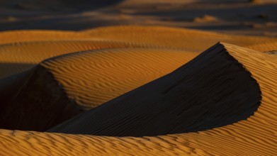 Sand dunes in the Rhub al Khali desert, detailed view, empty quarter, largest sandy desert in the